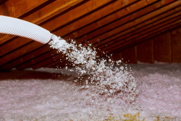Best Insulation Installation Services in Lambertville, MI